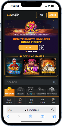 betwhale casino page for fast withdrawal casinos